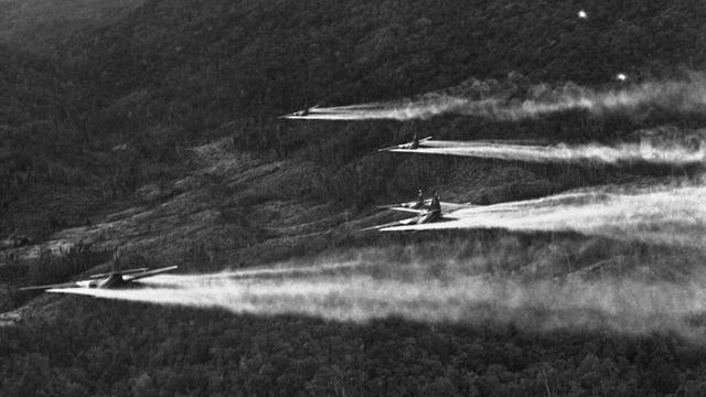 FILE- Flying a bare 100 feet above the jungle hills west of Hue, 5 bulky 'C-123 providers' cut loose a spray of chemical defoliant on August 14, 1968. The chemicals used burn off heavy foliage hiding enemy infiltrations routes and base camps. The aircraft are specially equipped with huge 1,000 gallon tanks holding 11,000 lbs. of herbicide. To hit their target areas they fly barely above the tree tops and in tight formation. In particularly dangerous areas they are provided with fighter-bomber escorts. (AP Photo/Robert Ohman, File)