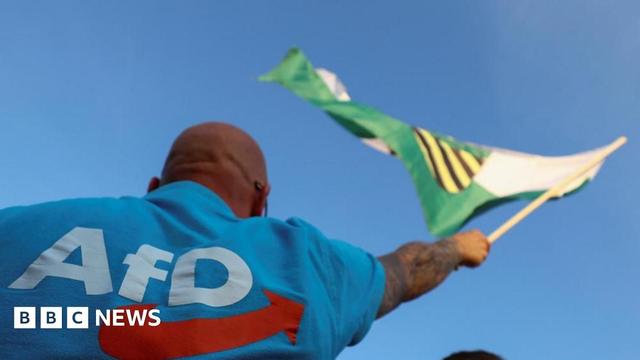 An AfD supporter with his back to the camera and dressed in light blue waves a Saxony flag