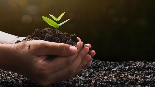 Europe ‘lagging’ behind on human rights by not recognising right to healthy environment, experts say
