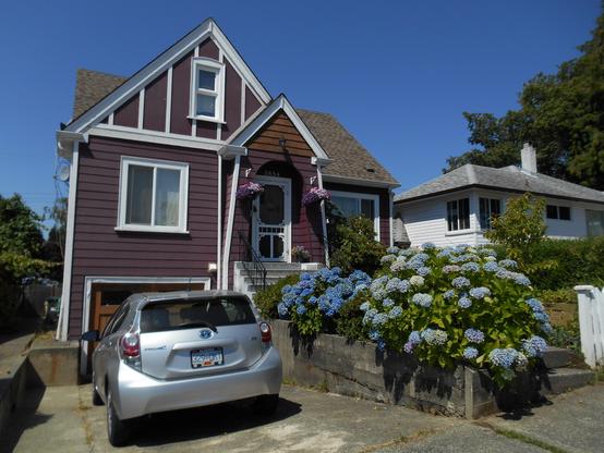 A picture of the original driveway featuring a sloped cement slab with fairly tall cement sides, going down towards a wooden door in the bottom of the house. The house is purple.