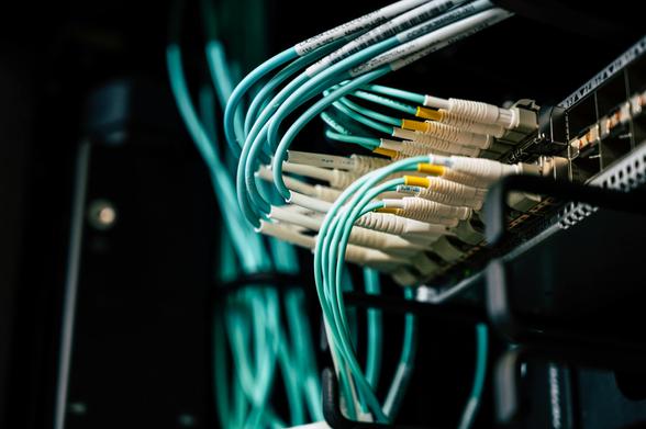 Detailed view of network cables plugged into a server rack in a data center. Photo by Brett Sayles