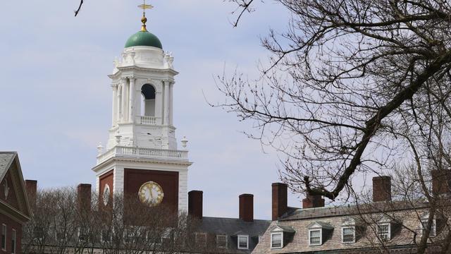 Spring buds appear on a tree near Eliot House, rear, at Harvard University, Tuesday, April 15, 2025, in Cambridge, Mass. (AP Photo/Charles Krupa)