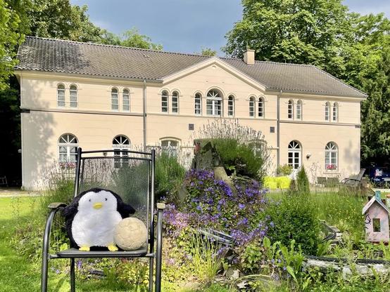 Plüschpinguin auf einem Stuhl im Park vor dem Linuxhotel