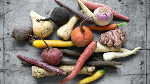 A selection of root vegetables – carrots, parsnips, rutabegas, ginger and beets (Credit: Getty Images)
