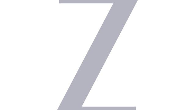 New Zee logo 2025