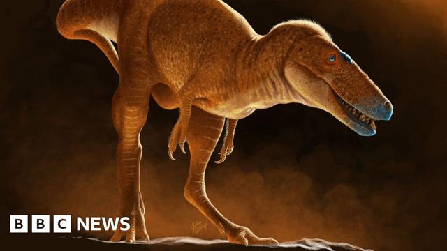 The image shows an artist's impression of the newly discovered dinosaur. It walks on two hindlegs and has an elongated head with sharp teeth. The image shows an artist's impression of the newly discovered dinosaur. It walks on two hindlegs and has an elongated head with sharp teeth.