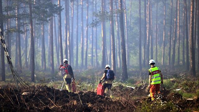 Satellites show where forests are being lost - now AI is helping researchers pinpoint why