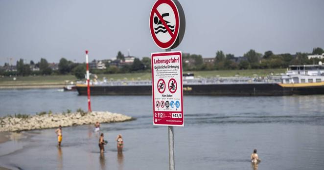 Badende ärgern sich über Schwimmverbot im Rhein