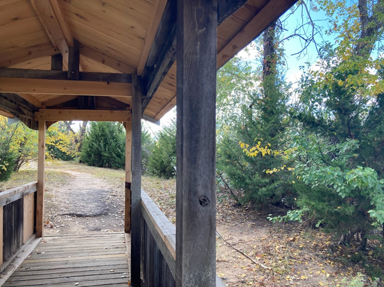 wooden bridge and dirt path with various trees, some beginning to turn yellow. 