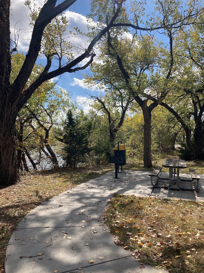 Park picnic table on cement slab. There are trees, mostly cottonwood going through the typical autumn changes. Mostly at a yellow stage right now but with the ongoing wind and cold temperatures that are coming, probably will not last long. 