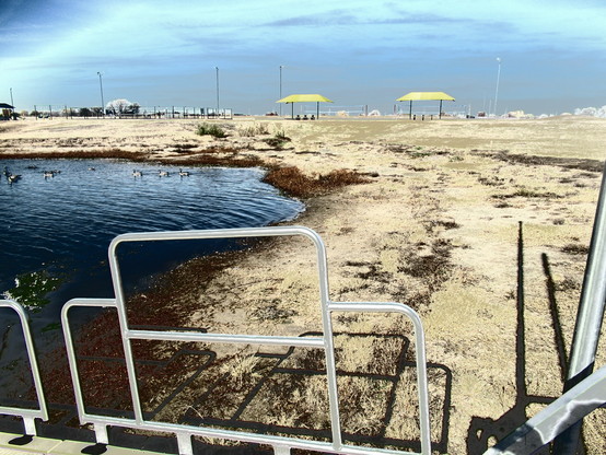 Heavily dramatic photo of a pond. edge of a fishing dock is in the center. The sky is shaded with artificial lights. The ground is covered in harsh barren dead grass. The pond, a very dark blue. Several picnic tables are in the background.  
