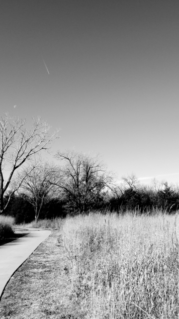 Black and white photo of a winter prairie park scene. There is an airplane in the sky, the smoke trail is visible. The trees pictured are bare. There is a cement sidewalk on the left side and tall prairie grass to the right side. Mid horizontal is of thicker darker trees as there is a creek that runs through the park. 