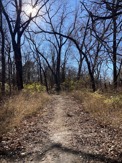 Outdoor trail, mostly dry, trees are now bare, dry brush lining the path.
