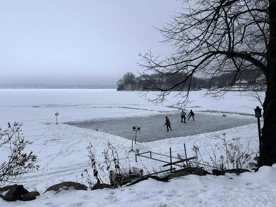 A mostly snow covered lake with trees and fog on the horizon. In the foreground, a cleared area with three people practicing their puck moves.