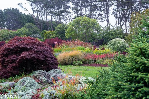 Mounds of green, red, silver gray shrubs  surrounding colorful flowers with tall trees silhouetted in the background.