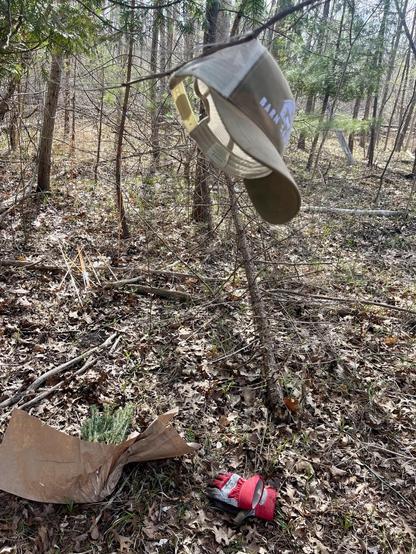 A hat hangs from a tree branch in a forested area, with some gardening gloves and a bundle of plant material wrapped in paper resting on the ground nearby. Surrounding foliage includes fallen leaves and thin branches.