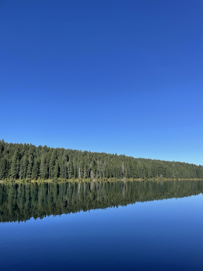Landscape photo of a lake in the PNW. The tree line tapers down into the distance and is reflected in the blue waters with brilliant cloudless blue sky above.