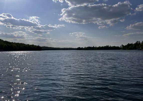 A lake scene, with dark trees and fluffy clouds