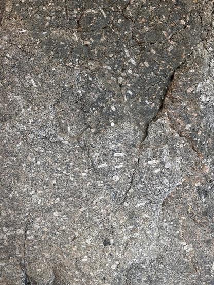 Igneous rock with matrix of smaller crystals containing larger feldspar crystals. 1 Euro coin for scale
