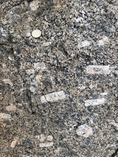 Closer view of porphyritic igneous rock. 1 Euro coin for scale 