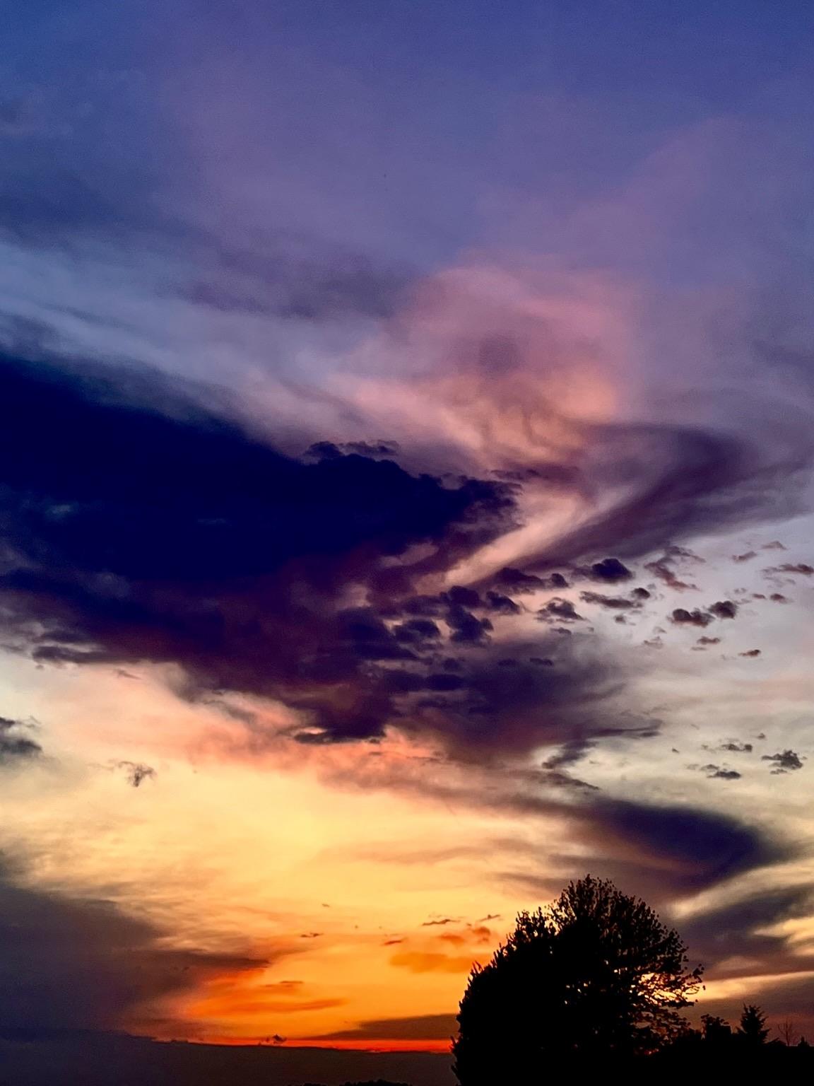 A vibrant sunset featuring swirling storm clouds in shades of purple, orange, and pink, with a dark silhouette of trees in the foreground. These are clouds that were storms over Lake Michigan but once they hit the mainland they start doing interesting things.