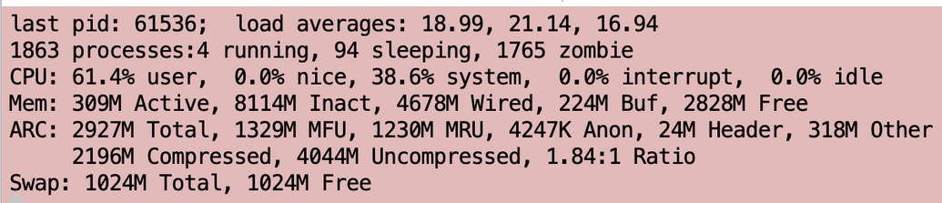 Screen grab from a Terminal window with text showing high load averages and 100%  of CPU  being utilized, all by user & system time. The idle, interrupt, & nice values are all 0.00%. Literal text:

last pid: 61536; load averages: 18.99, 21.14, 16.94
1863 processes:4 running, 94 sleeping, 1765 zombie
CPU: 61.4% user, 0.0% nice, 38.6% system,
0.0% interrupt, 0.0% idle
Mem: 309M Active, 8114M Inact, 4678M Wired, 224M Buf, 2828M Free
ARC: 2927M Total, 1329M MFU, 1230M MRU, 4247K Anon, 24M Header, 3…