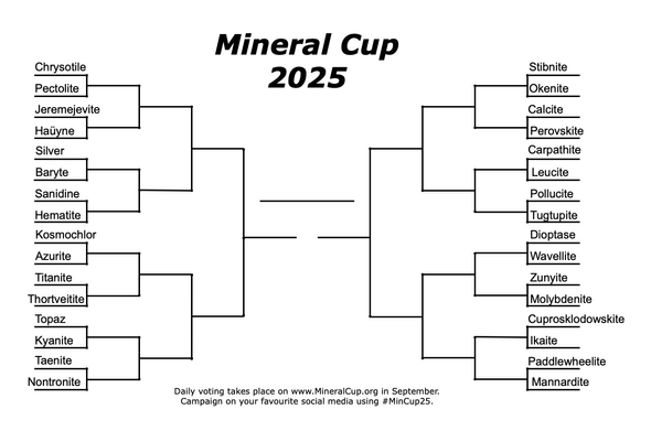 A sports style bracket for voting on your favorite mineral for 2025