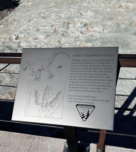 Plaque.

"LARGE THEROPOD TRACKS
The large, well-preserved tracks in front of you are the beginning of a 17-step trackway of a very large, carnivorous dinosaur.
Tracks of a similar dinosaur have also been found in central Texas. The tracks here are about 16-20 inches long and are from a dinosaur that was at least 8 feet tall at the hip. The intriguing thing about these tracks is that they indicate the presence of a very large dinosaur for which we currently have no skeletal evidence. A very larg…