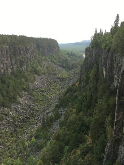A gorge with abundant eroded blocks at the bottom, sheer black cliffs on either side, and forest near the tops. 