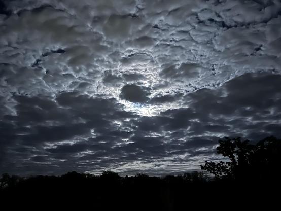 Cloudy sky backlit by the moon; silhouettes of trees on the horizon