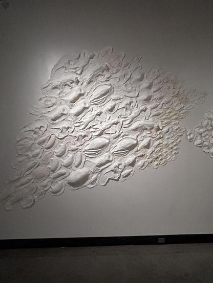 Whitish forms installed on a wall