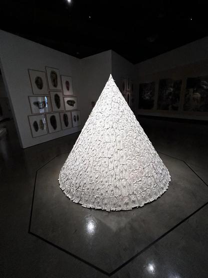 Conical structure covered with whitish forms 