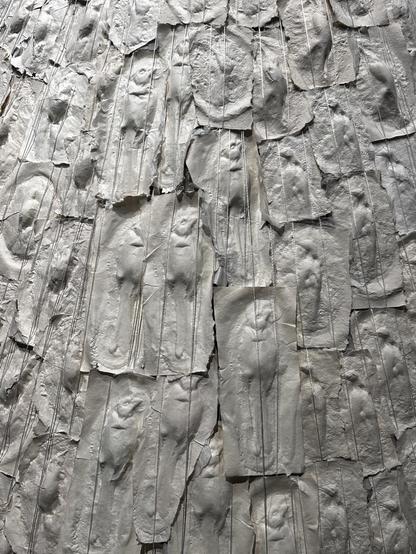 Closer view of the whitish forms on the cone