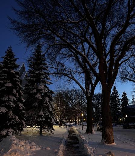 Twilight view down a sidewalk of a snow covered residential neighborhood. 