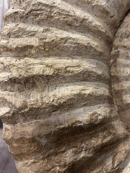 Close-up of part of the object showing distinct chisel marks.