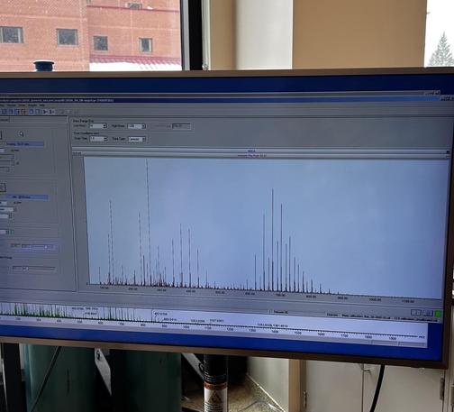 A computer screen showing mass peaks