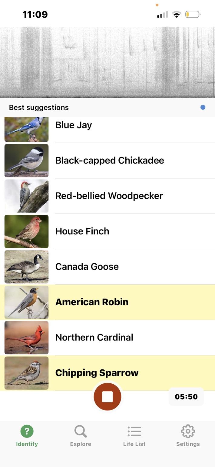 The image displays a bird identification app screen showing various bird species names and images. Suggestions include Blue Jay, Black-capped Chickadee, Red-bellied Woodpecker, House Finch, Canada Goose, American Robin, Northern Cardinal, and Chipping Sparrow