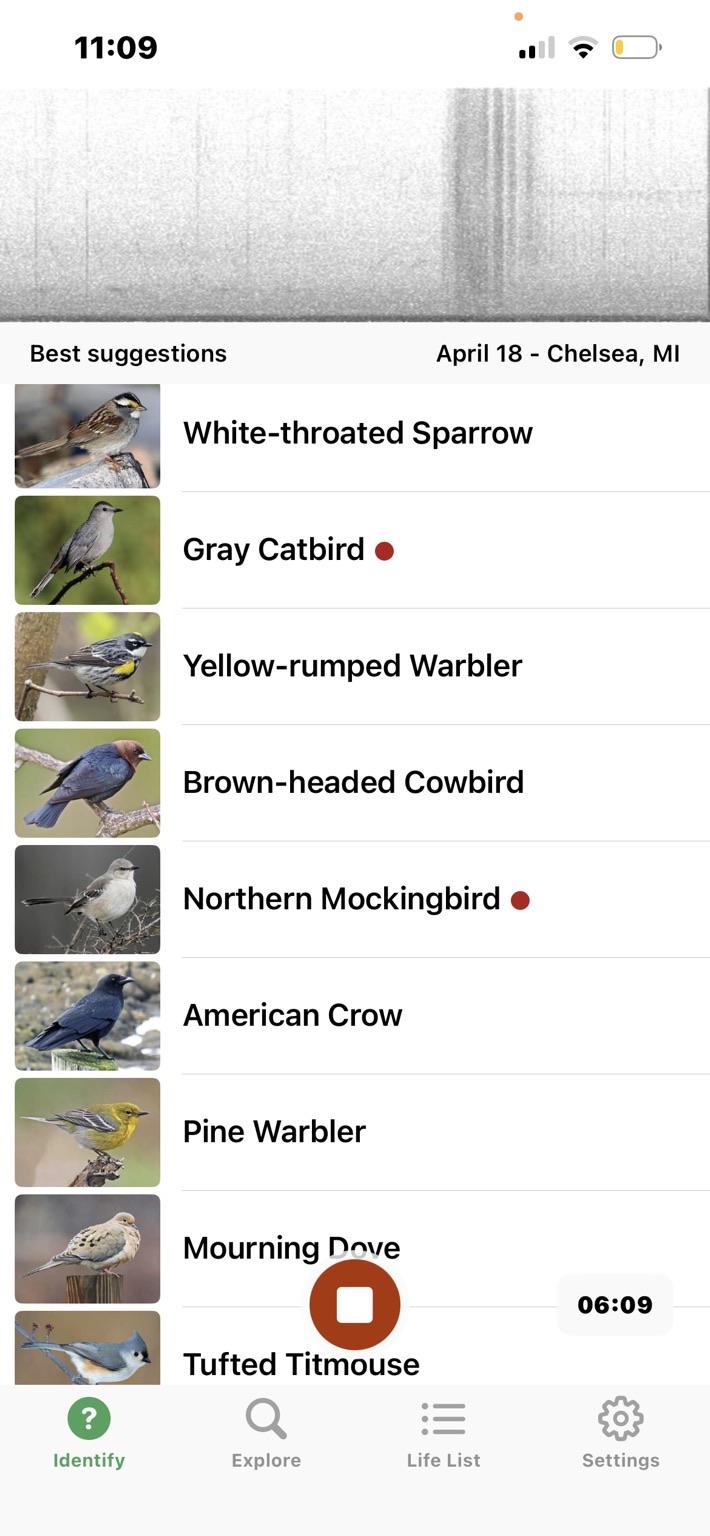 The image displays a list of bird species along with their names and small thumbnail images. Featured species include the White-throated Sparrow, Gray Catbird, Yellow-rumped Warbler, and Northern Mockingbird.