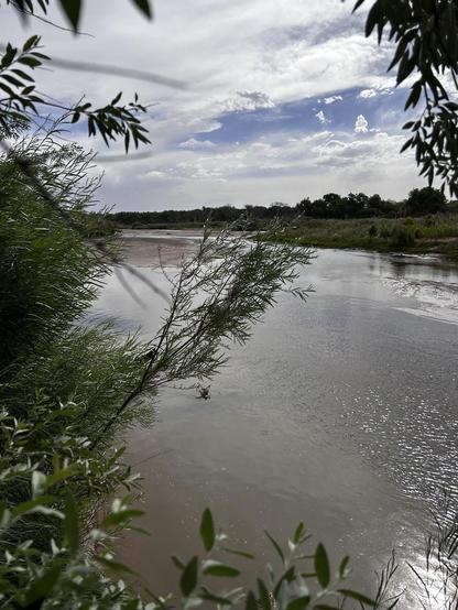 River view peering through foliage 
