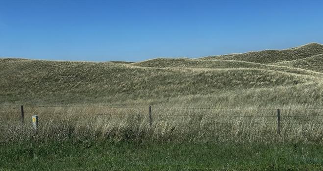 Grass covered dune forms under a blue sky.