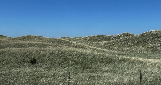 More grass covered dune forms.