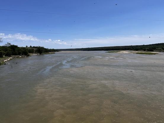 Looking upstream at a wide, shallow, river with a sandy bed. Birds flying about. The shores are tree lined under a blue sky.