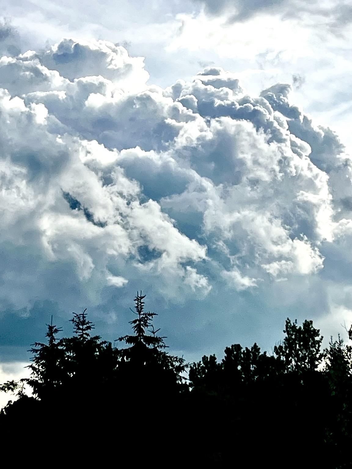 A dramatic sky filled with fluffy, textured clouds, illuminated by sunlight, with dark silhouettes of trees at the bottom.