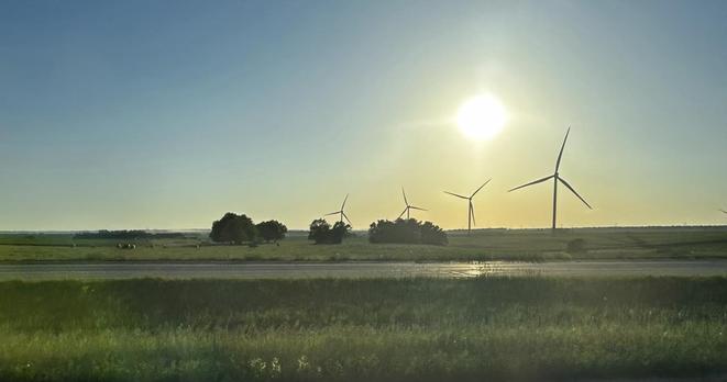 Looking into the sun over a flat grassy landscape, with a few trees and four large silhouetted windmills on the horizon 