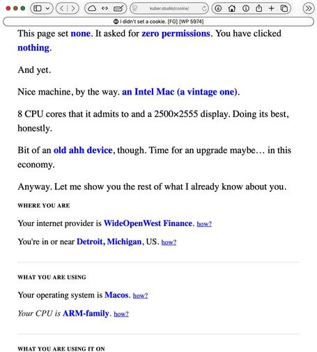 Screenshot of the top of the same loaded page, relevant text:

• I didn't set a cookie. [FG] [WP 5974]
This page set none. It asked for zero permissions. You have clicked nothing.
And yet.
Nice machine, by the way. an Intel Mac (a vintage one).
8 CPU cores that it admits to and a 2500x2555 display. Doing its best, honestly.
Bit of an old ahh device, though. Time for an upgrade maybe... in this economy.
Anyway. Let me show you the rest of what I already know about you.

WHERE YOU ARE
Your intern…