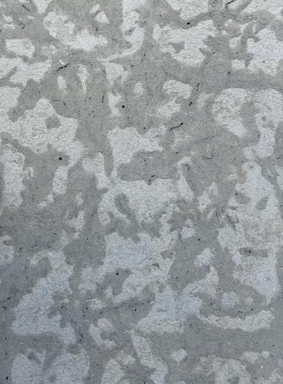Closer view of the Tyndall Stone; the mottles are a few centimeters across