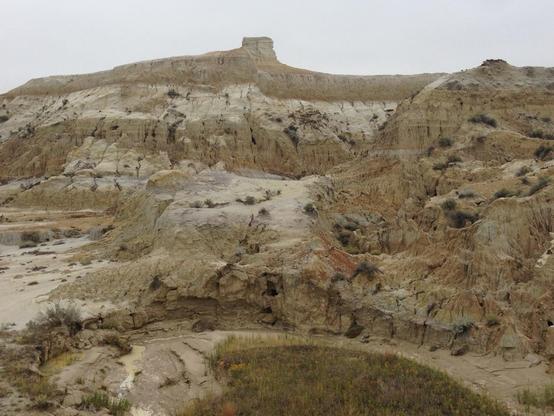 View of a butte, made of subhorizontal light tan to white colored sedimentary sandstones and siltstones. A small stream at the bottom.