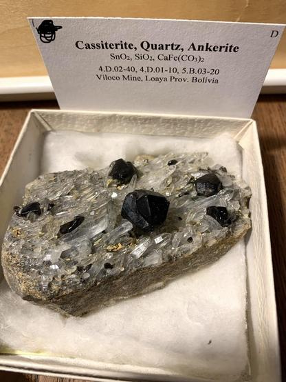 Small display box with a specimen of ankerite on which are clear quartz crystals, and dark colored euhedral cassiterite crystals.

Label: Cassiterite, Quartz, Ankerite 

SnO2, SiO2, CaFe(CO3)2


4.D.02-40, 4.D.01-10, 5.B.03-20

Viloco Mine, Loaya Prov. Bolivia