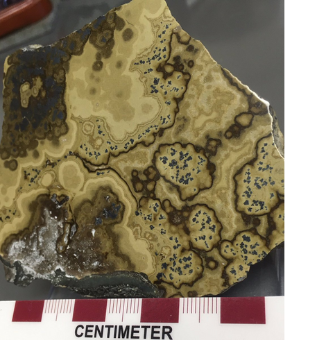 Polished slab about 8 cm across with complex mineral layers. 
